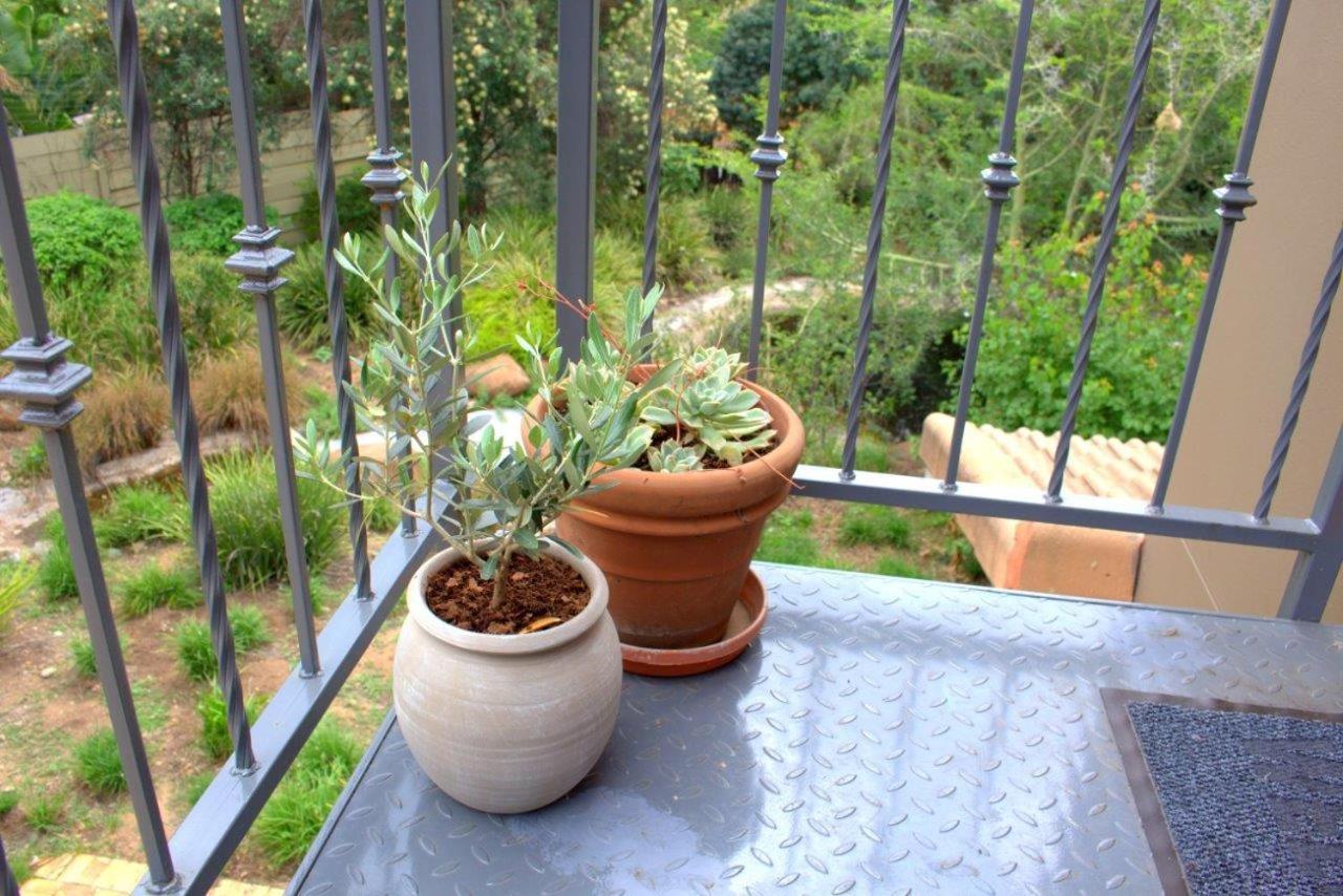 יוהנסבורג Wild Olive Executive Suite מראה חיצוני תמונה